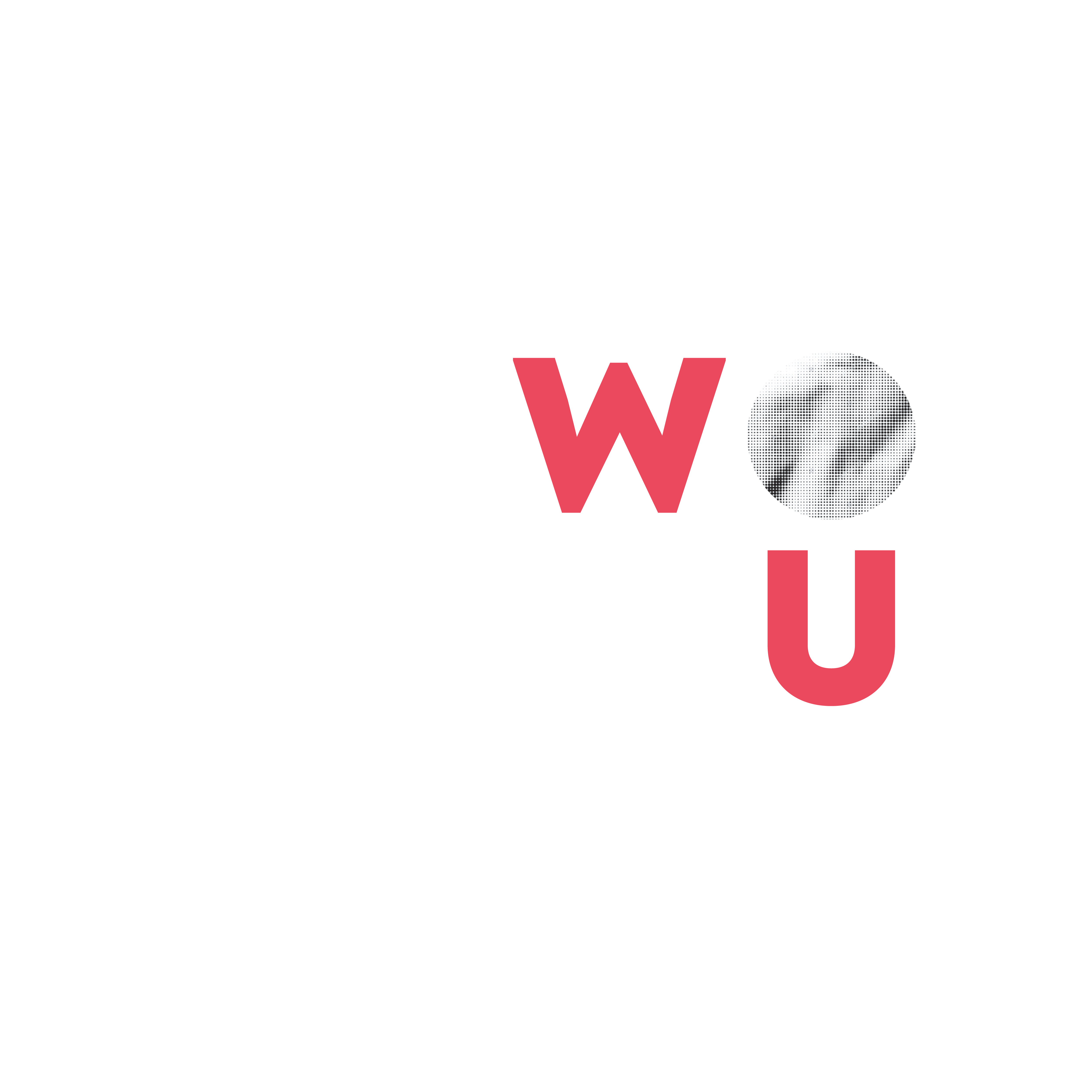 Woxsen University Logo